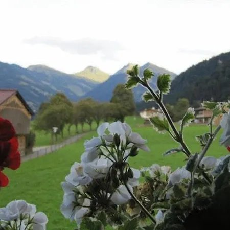 Haus Friedl Guest house 3*