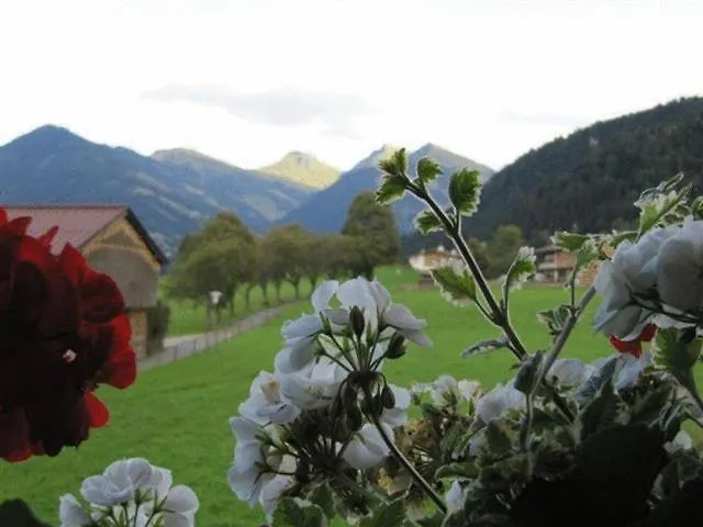 Haus Friedl Affittacamere 3*